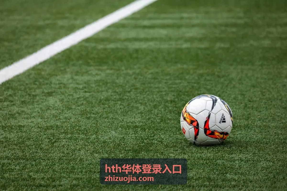 hth华体登录入口通道状态总览示意