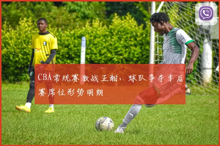 CBA常规赛激战正酣,球队争夺季后赛席位形势明朗