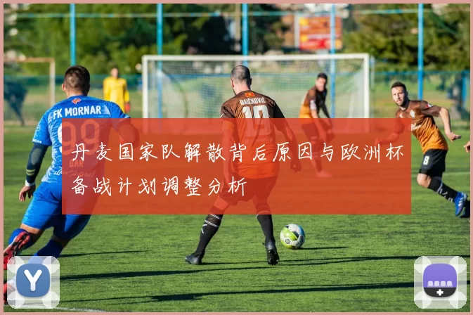 丹麦国家队解散背后原因与欧洲杯备战计划调整分析