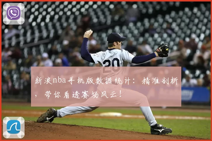 新浪nba手机版数据统计：精准剖析，带你看透赛场风云！