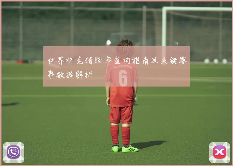 世界杯竞猜赔率查询指南及关键赛事数据解析