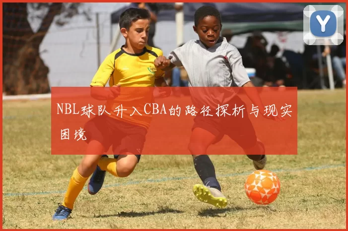 NBL球队升入CBA的路径探析与现实困境