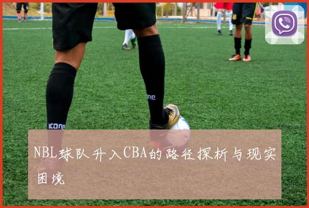 NBL球队升入CBA的路径探析与现实困境