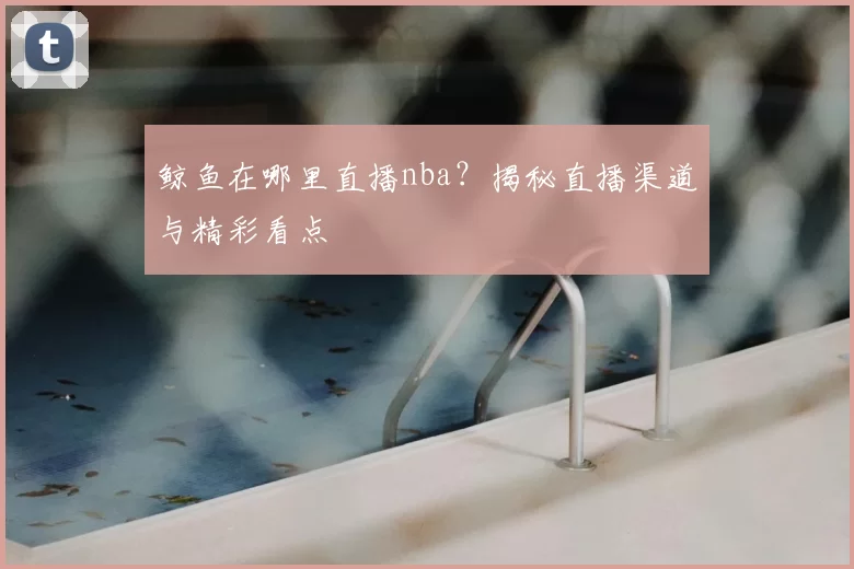 鲸鱼在哪里直播nba？揭秘直播渠道与精彩看点