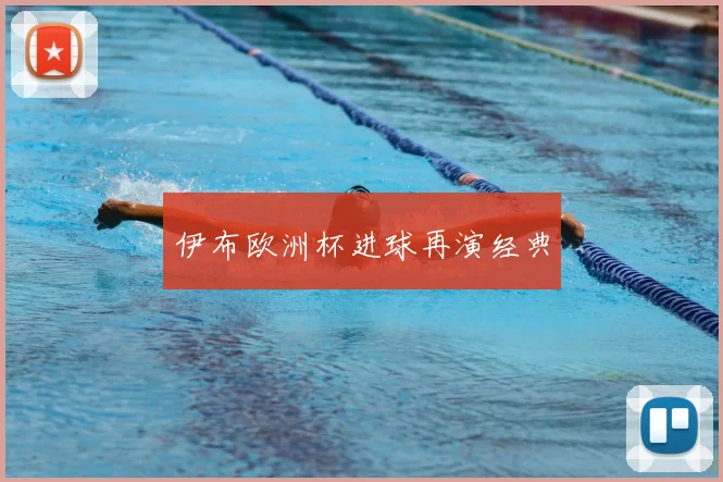 伊布欧洲杯进球再演经典