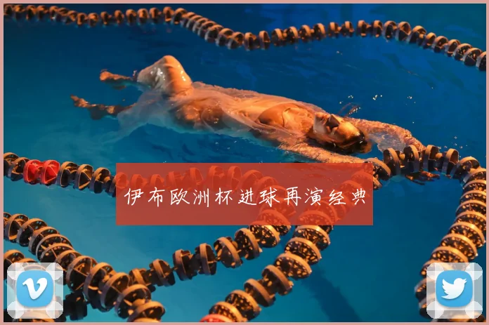 伊布欧洲杯进球再演经典